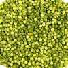 Premium Quality Best price export green red Lentils