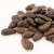 Import Premium Quality Wholesale Dried Cocoa Beans from South Africa