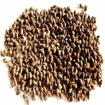 Prevent Hair Loss & Help Hair Grow Organic Black Sesame Seed