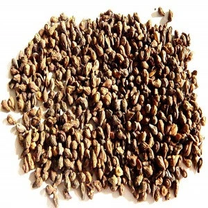 Prevent Hair Loss &amp; Help Hair Grow Organic Black Sesame Seed