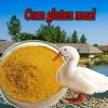 Quality-Assured Corn Gluten Meal60% For Livestock Feed