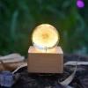 Real Fresh Dandelion Flower Crystal Ball Wood Base pull Music Box with LED Light for Christmas Birthday Valentine Holiday Gift
