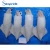 Import Sea food Frozen -fish whole squid from China