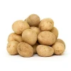 Shandong Fresh Potato export to dubai