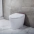 Import Smart intelligent  bowl ceramic bidet toilet wc from China