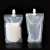 Import Stand up 5L Clear Transparent Spout pouch for Water Wine Juice with Handle from China