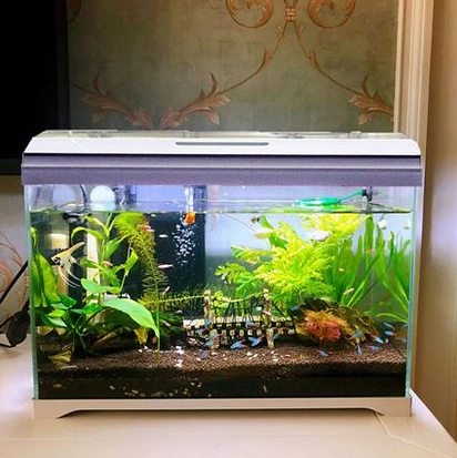SUNSUN AT Series Accessories Plastic Betta Decoration Small Mini PVC Unique Acrylic Glass Biofloc Fish Tank Aquarium