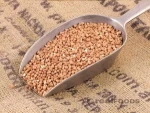 Super Adorable Hulled Buckwheat / Roasted Buckwheat /Roasted Buckwheat Kernels from South Africa