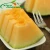 Import Sweet Fresh Hami Melon in Xinjiang Area from China