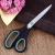 Import Tailor Sewing 10&quot; Soft grip Handle Stainless Steel Sharp Shears DIY Home Kitchen Scissors from Taiwan
