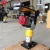 Import Tamping rammer /tamping rammer for sale philippines from China