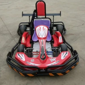 Teenage Small  Go Kart,Racing Kart,Park Quick go kart,High speed Gasoline go kart,Fuel powered Amusement park adult go kart,