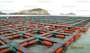 tilapia cage/catfish cage/trout cage/carp cage aquaculture floating farming fish cage