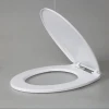 Toilet seat cover manufacturer, hotel toilet cover in China, indian toilet seat with low price