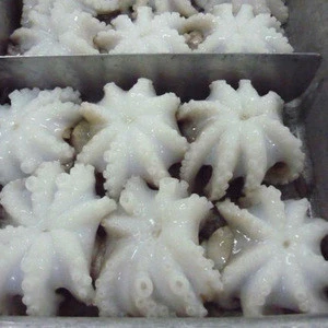 Top grade fresh frozen Octopus Ocellatus baby octopus whole round