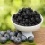 Import TTN Freeze dried fruits Freeze dried blueberries with blueberry prices from China