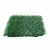 Import Turf Artificial Grass Turf Grass Artificial Waterproof Artificial Turf from China