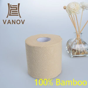 Ultra-Soft Plush Luxury 4ply Toilet Paper with Bamboo Raw Material