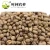 Import Vietnam coffee beans Robusta screen 18 from China manufacturer from China
