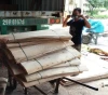 Vietnam hardwood core veneer for China plywood manufacturer