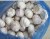 Import Vietnamese specialty garlic is fragrant, delicious and safe from China