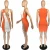 Import Visualize Custom summer clothes ladies cut out hollowed sexy fashion color patchwork mini bodycon bandage dress women summerwear from China