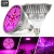 Import 100w LED Grow Light Indoor Plants Full Spectrum Lamp  Seed Startin  House Garden Vegetable Succulent  Hydroponic Green house from China