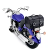 Waterproof  Custom made Motorbike Saddle Leather Bag With Media pockets(bn-01)