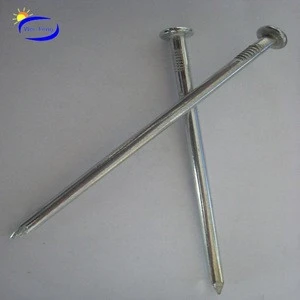 Well Priced common nails / common iron wire nails / price of iron nails With China Factory