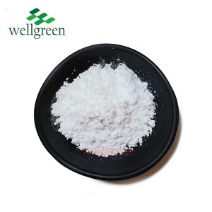 Wellgreen Supply New food additives 99% L Carnosine Powder For Healthcare