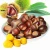 Import Wholesale and retail of Chinese specialty fruit, high quality natural fresh wild chestnut from China