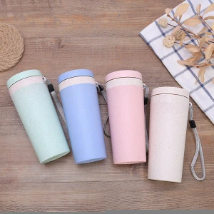 Wholesale BPA Free Easy Carrying Multicolor Office Water Drinking Mug Travel Wheat Straw Bottle