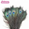 Wholesale cheap Natural Peacock Feather for Decoration