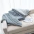 Import Wholesale Custom Anxiety Throw Blanket Luxury Weighted Blanket Adult Weighted Blanket from China