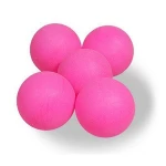 Wholesale Custom Printed 5-star 40mm-diameter Table Tennis Ball with Cheap Price