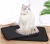 Import Wholesale customized double-layer cat litter mat, environmentally friendly cat and dog waterproof mat easy to clean from China