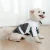 Import Wholesale Dog Clothes Handsome Style Flannel & Nylon With Belt Buckles Ornament The Warm Dog Coat  Winter Dog Clothes from China