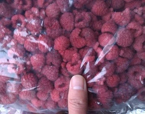 Wholesale Frozen/IQF Raspberry Whole 2018 New crop, Chinese frozen fruits