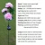 Import wholesale garden decorative 3 heads rose outdoor solar powered lights from China