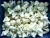 Import Wholesale IQF Frozen Cauliflower Floret from China