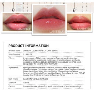 wholesale Lanbena brand real effect plumping lip gloss transparent glass glossy plump oil moisturized oem odm private label