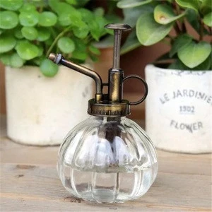 wholesale small glass watering can for flower self watering pot