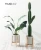 Import wood bamboo Small Mini indoor cement wholesale commercial plant holder mid century plant pot stand wood plant stand from China