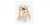 Import Wooden Baby High chair Dinning High chairs with Food Tray from China