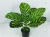 Import YD8743-1 50cm high artificial alocasia macrorrhizos plants bonsai from China