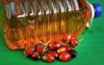 100% Purity Crude Palm Oil (CPO) For Cooking