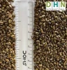 Cassia Tora Seed (Cassia Seed)