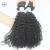 Import Malaysian Virgin Hair Kinky Curly Hair Natural Color Quality Guaranteen from China