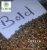 Import Cassia Tora Seed (Cassia Seed) from India