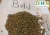 Import Cassia Tora Seed (Cassia Seed) from India